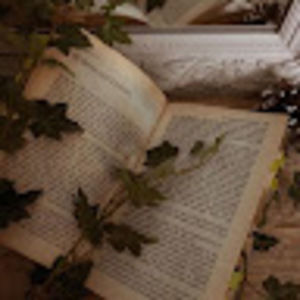 Meet your Posher, Isabelle